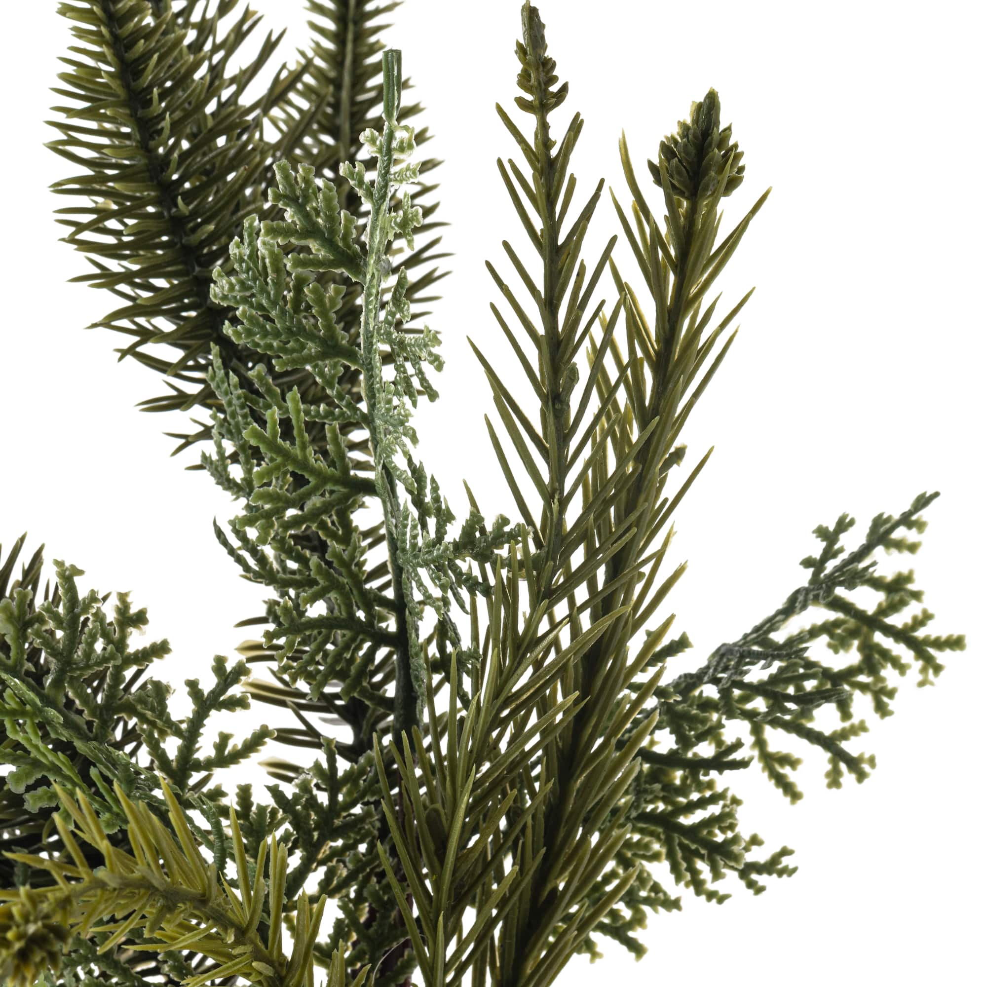 Evergreen Branch by Ashland®